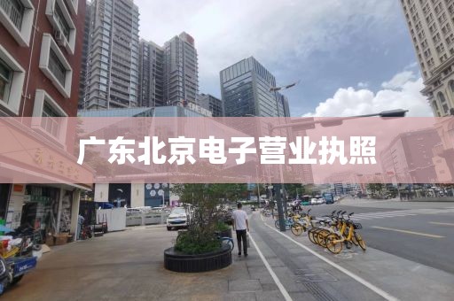 广东北京电子营业执照